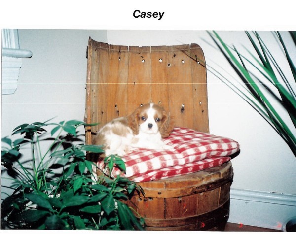 Casey